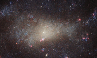 «Хаббл» сделал снимок очень далекой и красивой галактики NGC 4242