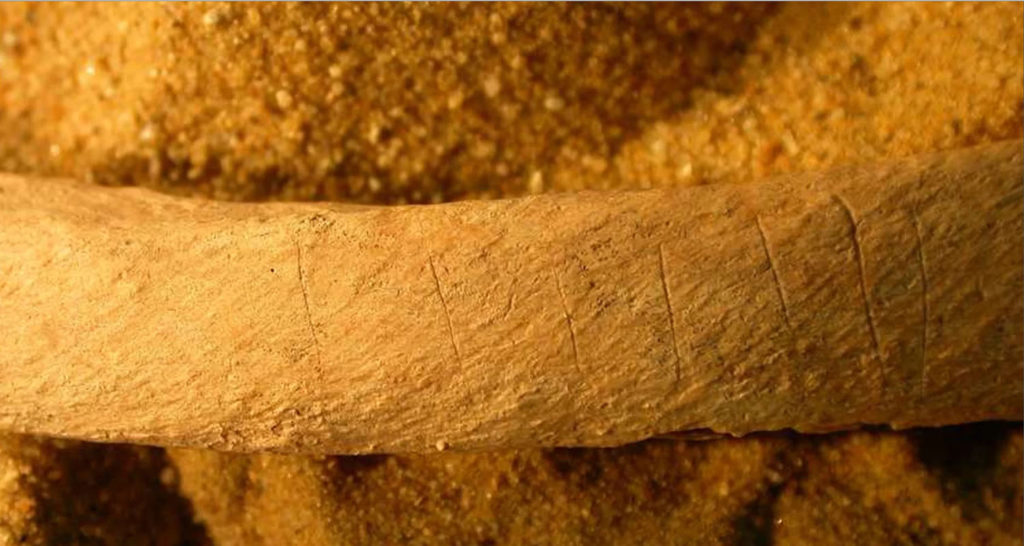 Археологи нашли в Англии средневековое захоронение «зомби»