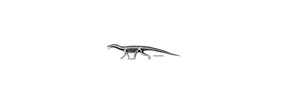 Предок динозавров больше всего напоминал крокодила